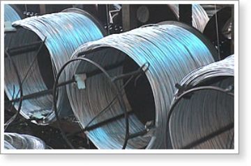 Galvanized Wire